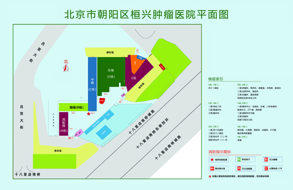 日逼视频网址大全北京市朝阳区桓兴肿瘤医院平面图